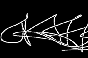Output2893