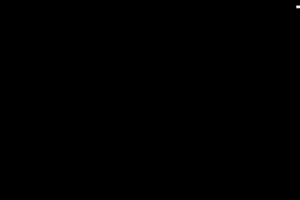 Output8431