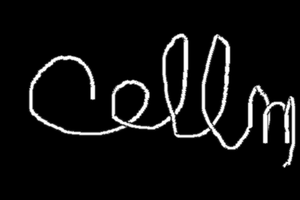 Output34345